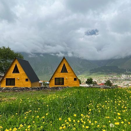 Pine Chalet Kazbegi Esterno foto