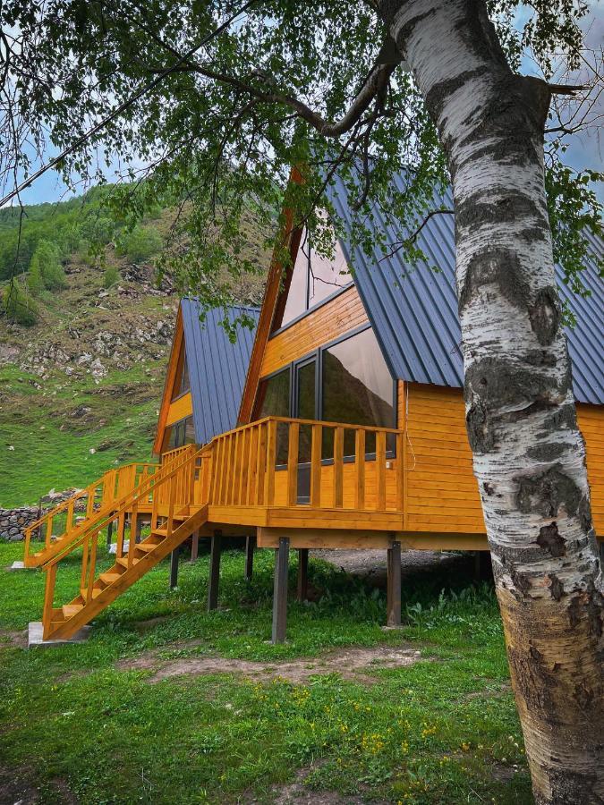 Pine Chalet Kazbegi Esterno foto