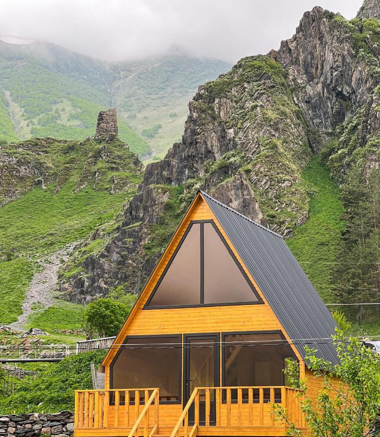 Pine Chalet Kazbegi Esterno foto