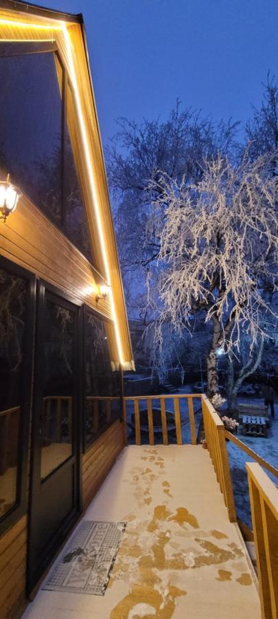 Pine Chalet Kazbegi Esterno foto