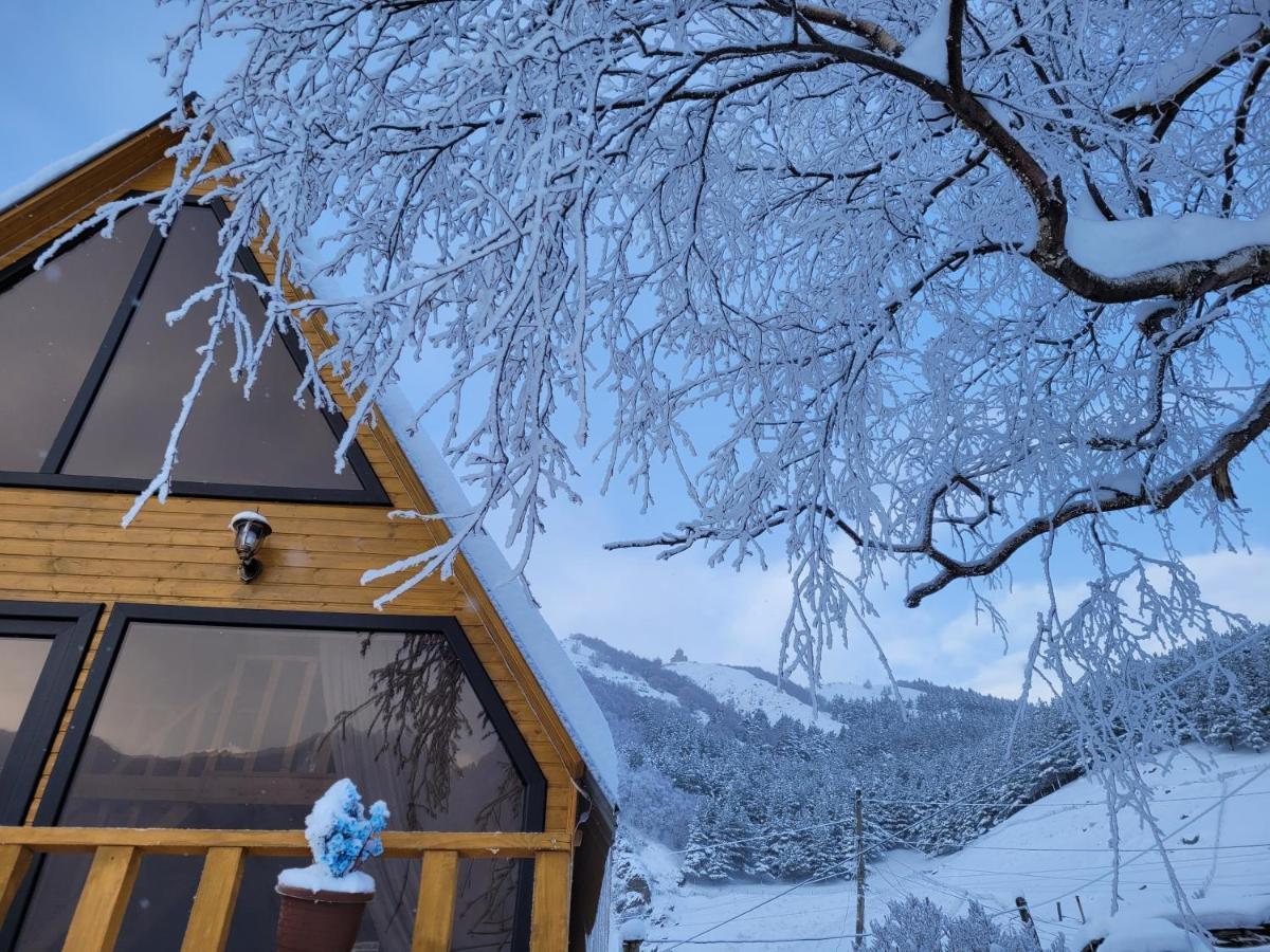 Pine Chalet Kazbegi Esterno foto