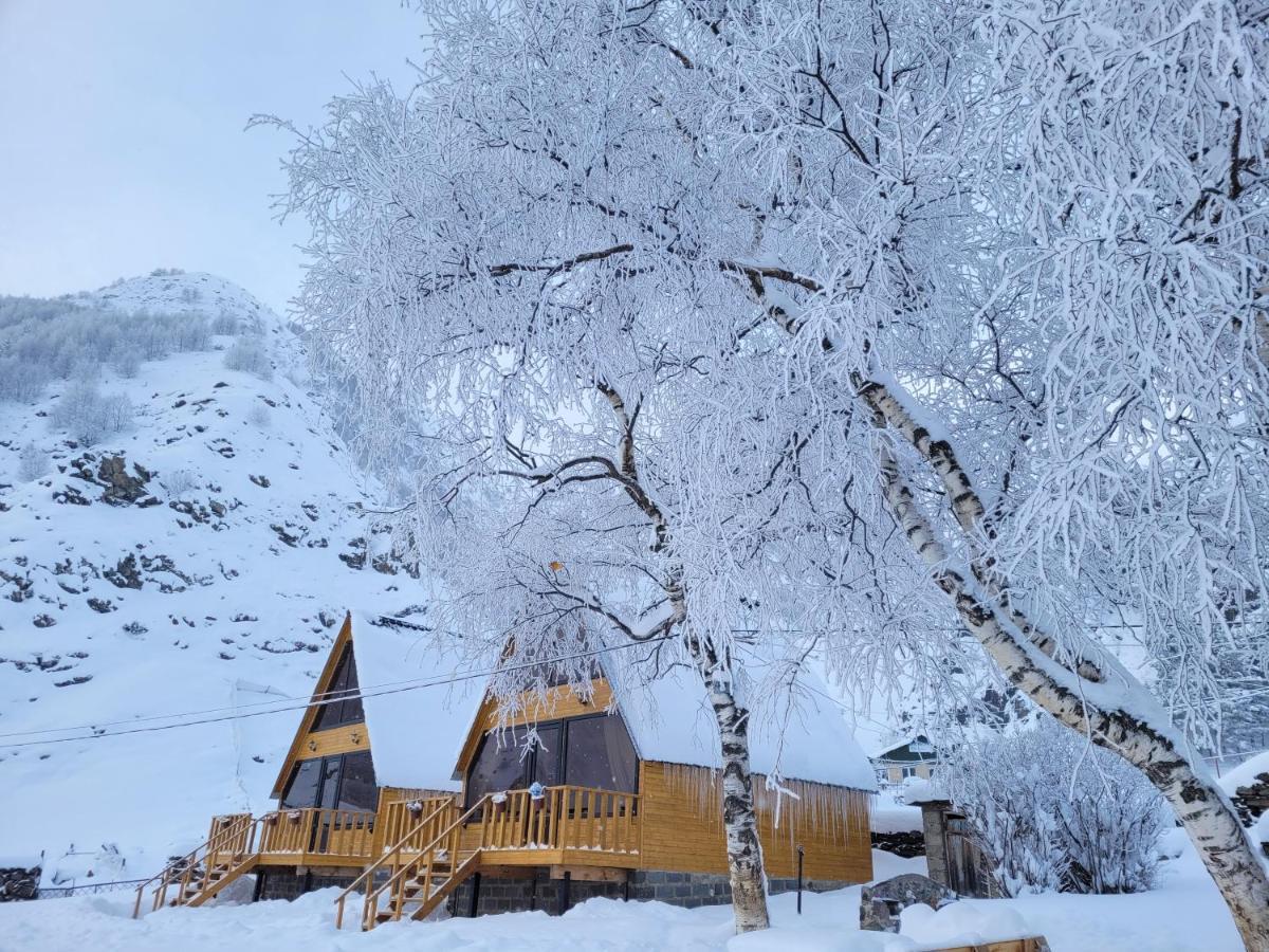 Pine Chalet Kazbegi Esterno foto