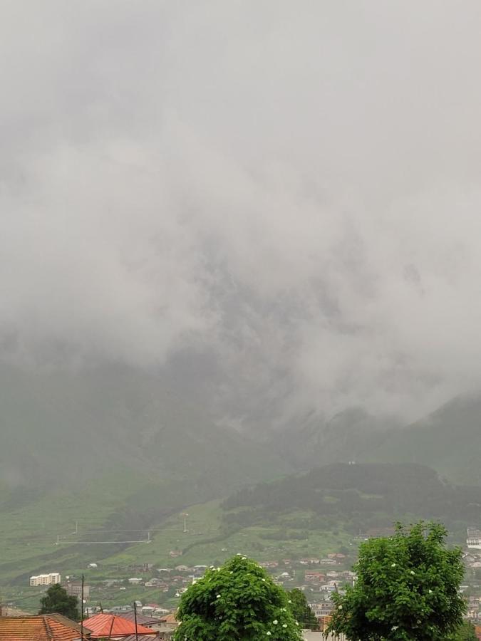 Pine Chalet Kazbegi Esterno foto