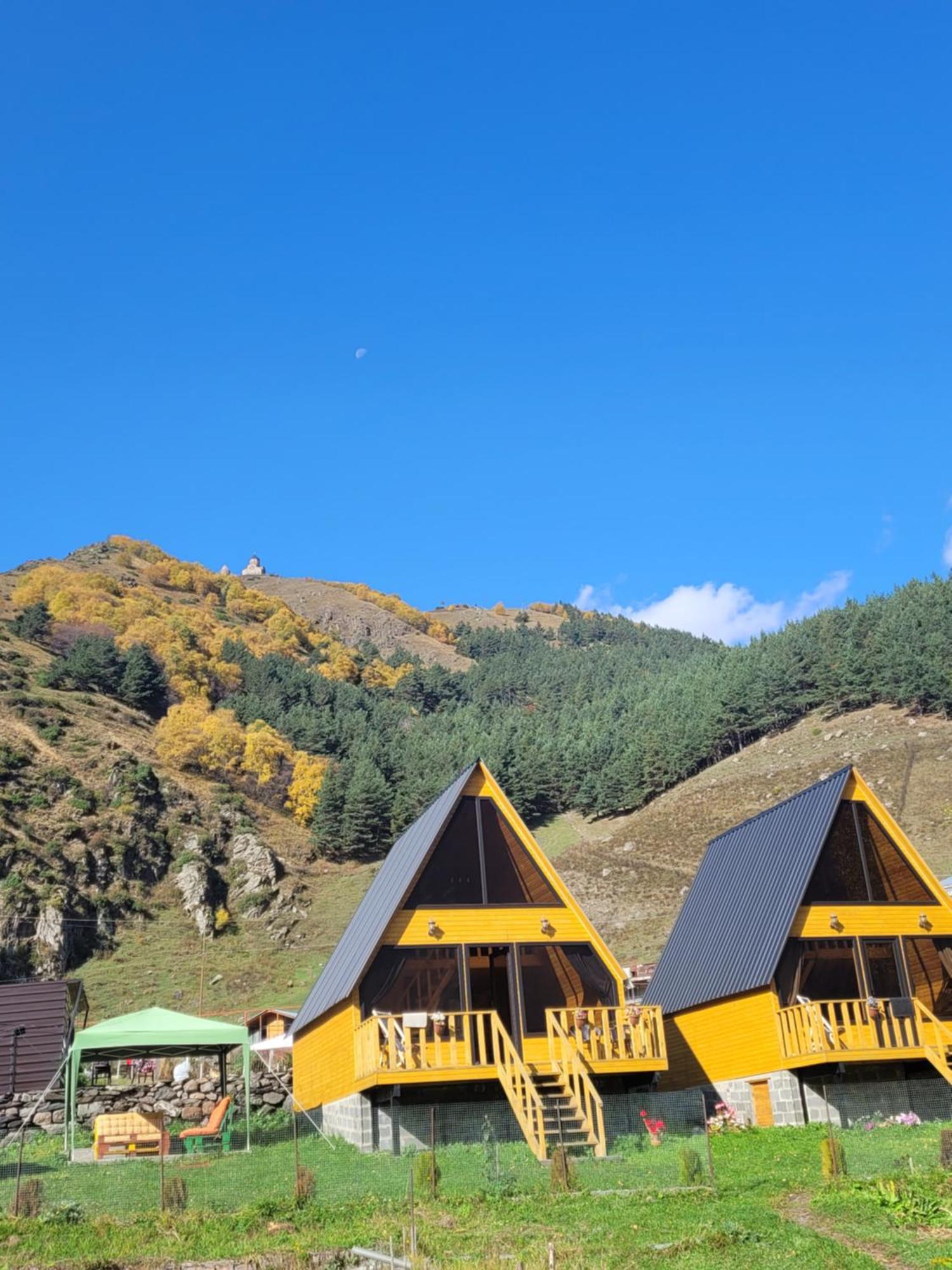 Pine Chalet Kazbegi Esterno foto
