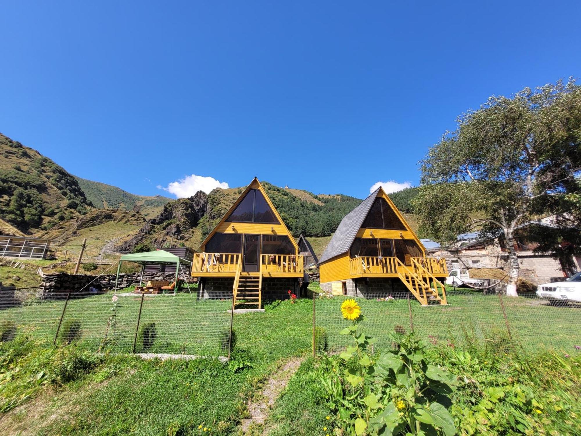 Pine Chalet Kazbegi Esterno foto